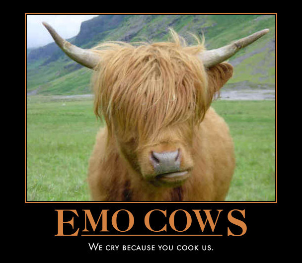 Emo Cows - We cry because you cook us