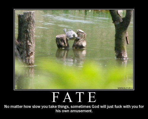 Fate - No matter how slow you take things sometimes God will just fuck with you for his own amusement